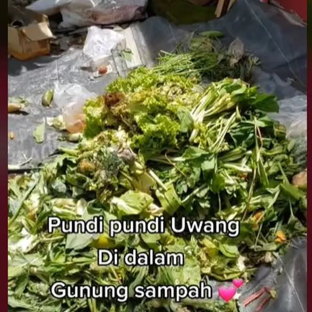 Alasan Wanita Lulusan UGM Pilih Jadi Pemulung Sampah Organik