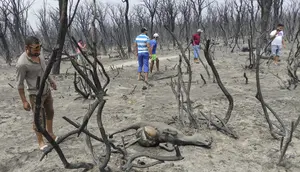 Presiden Aljazair Perintahkan Hukuman Mati bagi Pelaku Pembakaran Hutan