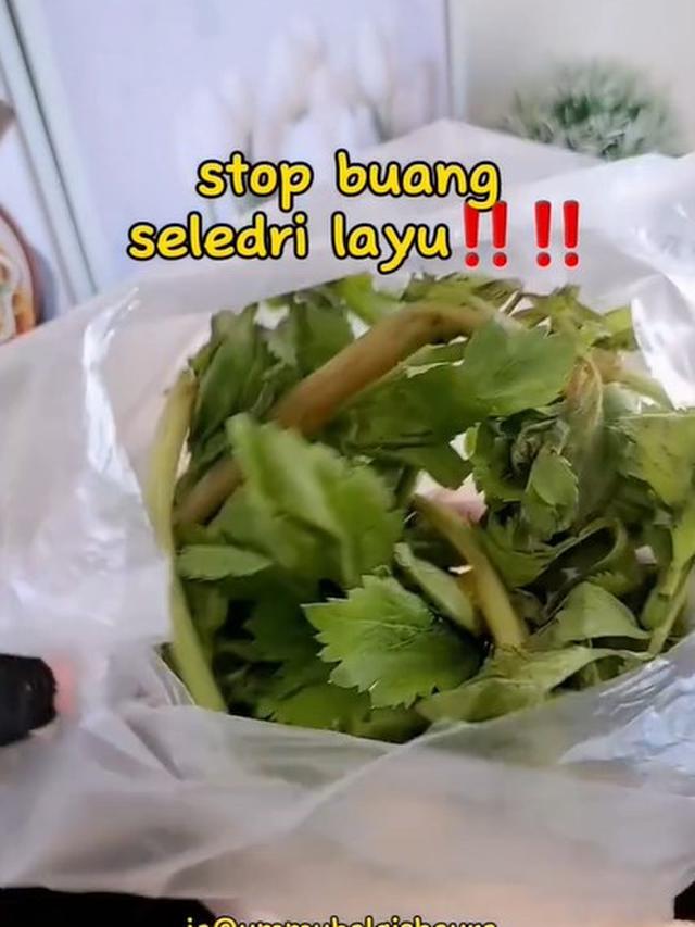 Tanpa Dibekukan Apalagi Direndam Air, Ini Cara Simpan Seledri Agar Awet Segar hingga 3 Minggu