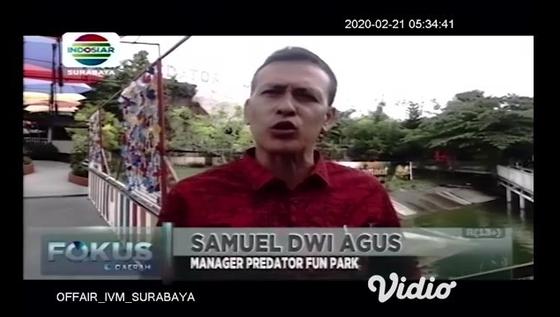 VIDEO: Berinteraksi dengan Hewan Pemangsa di Predator Fun Park Kota Batu