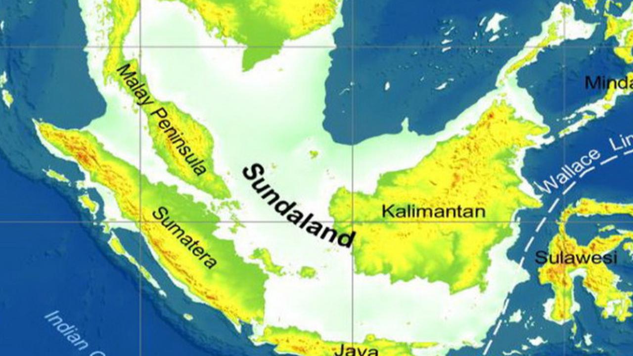 Ribuan Fosil Manusia 'Sundaland' Baru Ditemukan di Selat Madura, Ketahui Sejarahnya