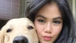 Anjing jenis golden retriever ini memang terkenal lucu dan kesetiaannya. Lihat saja, snowee tampak mengeluarkan lidahnya saat diajak selfie oleh Resyana Hikmayudi. (Liputan6.com/IG/@resyanahikmayudi)