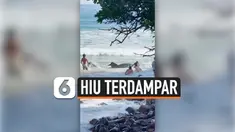 HIU TERDAMPAR