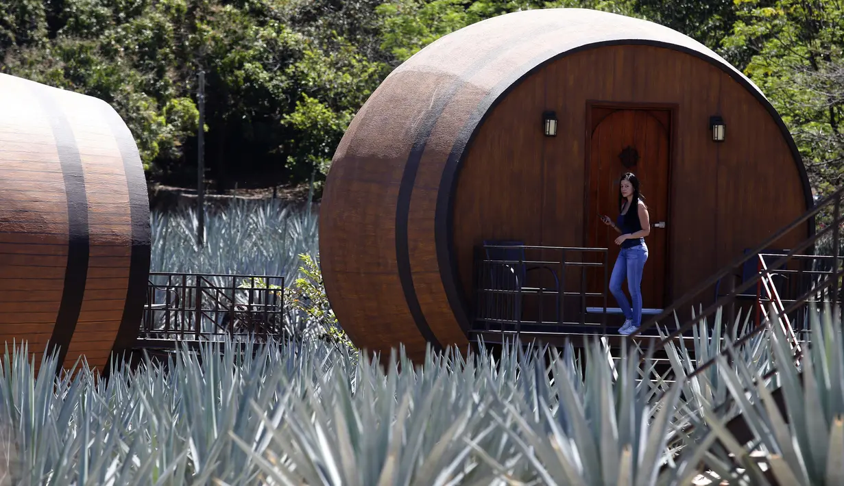 Seorang tamu meninggalkan tong raksasa Tequila yang dibangun menjadi hotel di Tequila, negara bagian Jalisco, Meksiko, 22 Maret 2019. Tong ini biasa digunakan untuk tempat menyimpan minuman beralkohol yang terbuat dari tanaman agave. (Photo by ULISES RUIZ / AFP)
