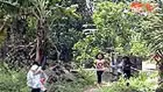 liputan6