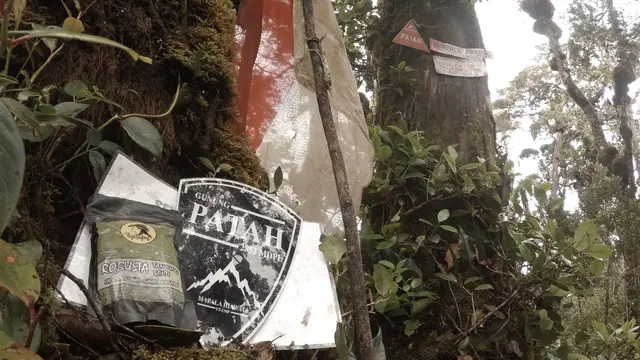 Menelusuri Gunung Patah Pagar Alam, Jalur Pendakian Terpanjang Kedua di Sumatra