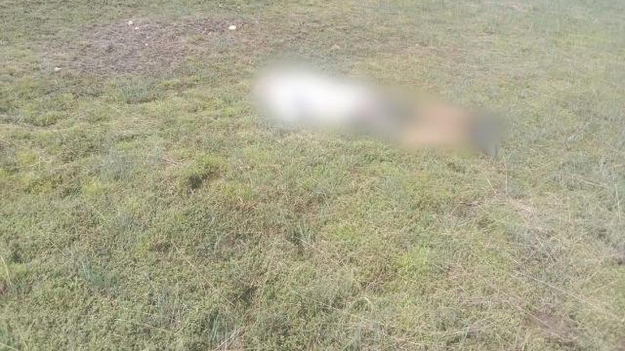 jenazah pilot dan co pilot pesawat smart air yang ditembak di Boven Digoel Papua. (istimewa)