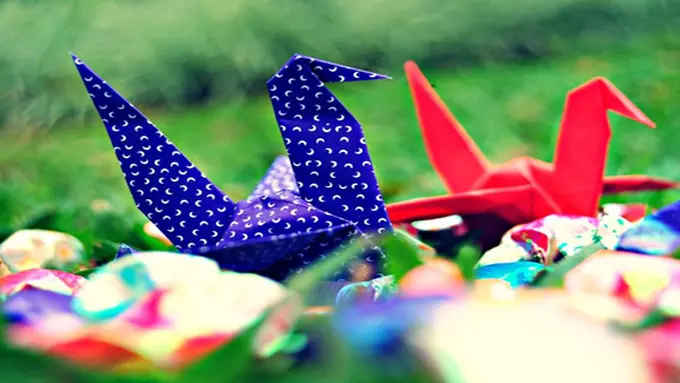 Foto: copyright shutterstock.com