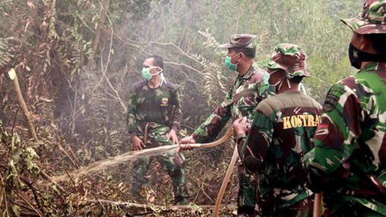 113 Perorangan dan 7 korporasi jadi tersangka pembakaran hutan