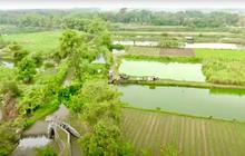 Rasio Gini Tanah 0.78: Reformasi Agraria Mendesak untuk Keadilan dan Kesejahteraan Rakyat