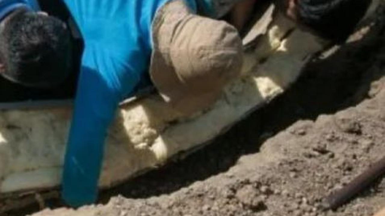 Gali Tanah Mau Bangun Rumah, Warga Sragen Temukan Fosil Gading Gajah Berusia 800 Ribu Tahun