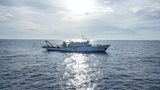 FOTO: Peneliti Temukan 11 Spesies Paus di Laut China Selatan