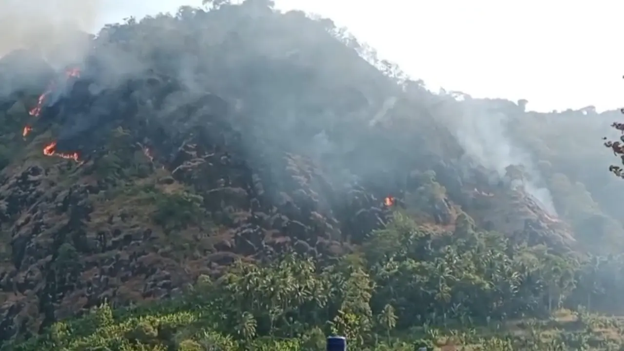 Amukan Si Jago Merah Meluas di Puncak Habibie Sukabumi, Warga Sempat Panik