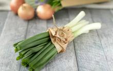 Tips Rahasia Agar Daun Bawang Tidak Berlendir Saat Diiris Hanya Gunakan Bahan Ini