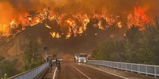 Kebakaran Hutan Tewaskan 10 Petugas Pemadam dan Relawan Penyelamat di Turki