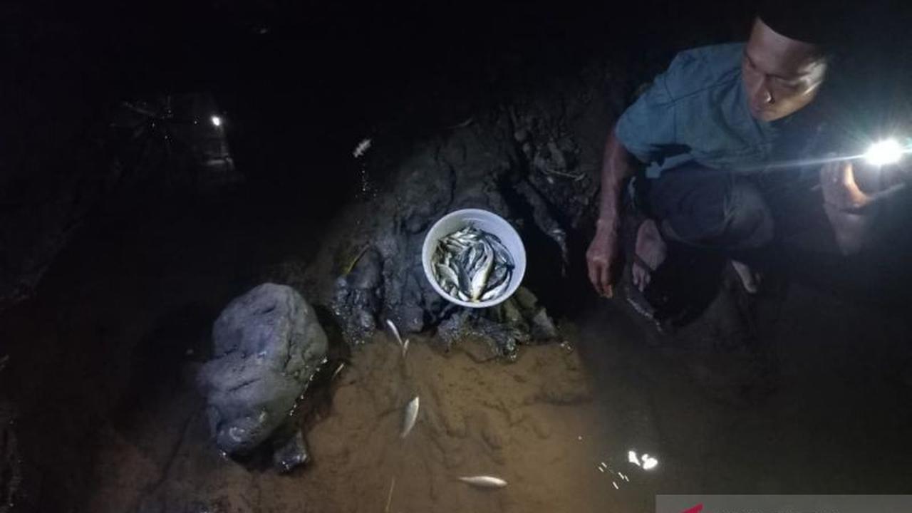 Ikan Mati Massal! DLH Tasikmalaya Pantau Serius Dampak TPA Ciangir yang Cemari Sungai hingga Manonjaya