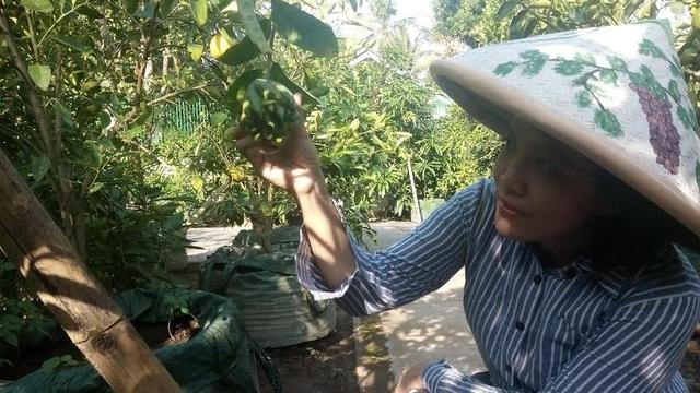 Mudik Ke Bantul Jangan Lupa Singgah Ke Kebun Buah Langka