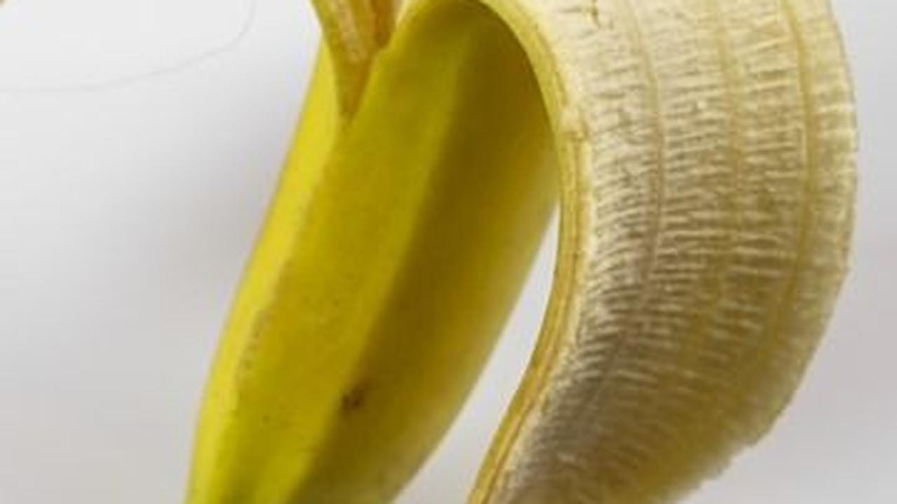 Daun Putri Malu punya Ragam Manfaat, Bisa Atasi Masalah Vitalitas Pria?
