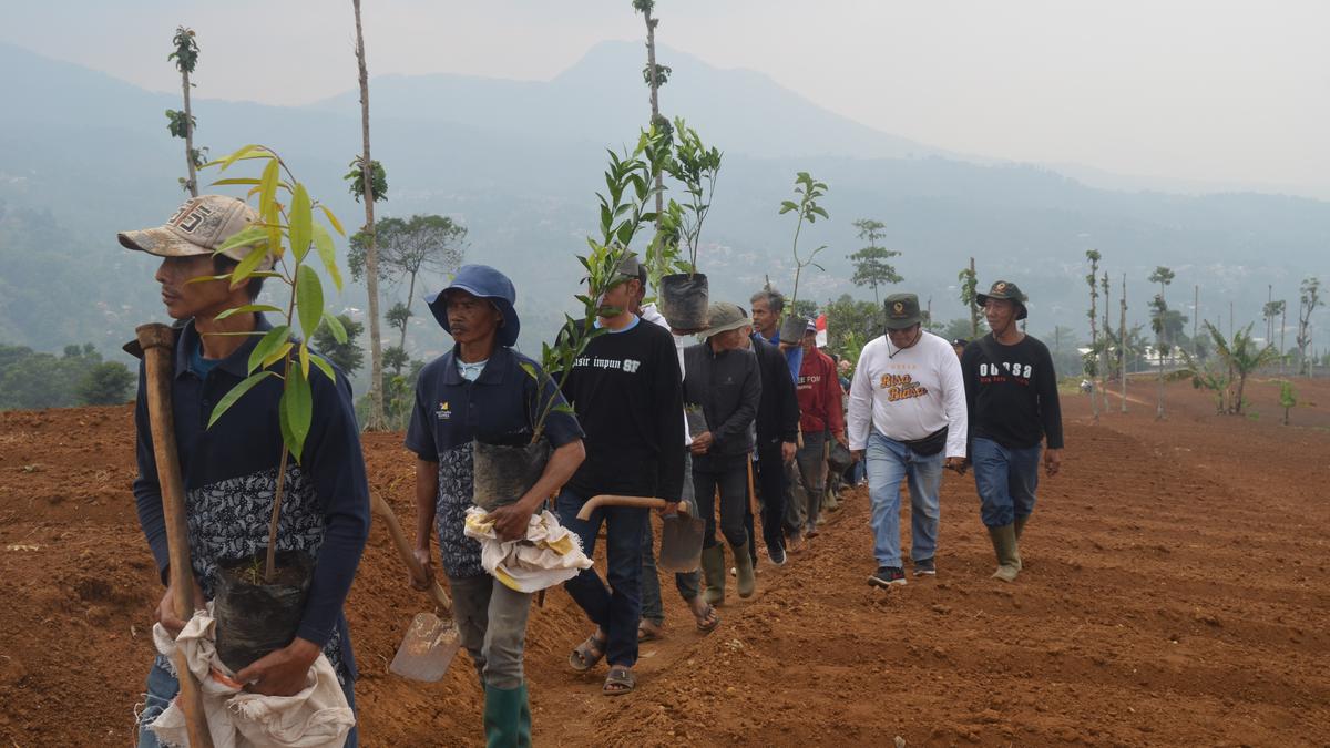 Menjaga Kawasan Tangkapan Air, Gerakan Menanam 1.000 Bibit Pohon untuk Bandung Utara