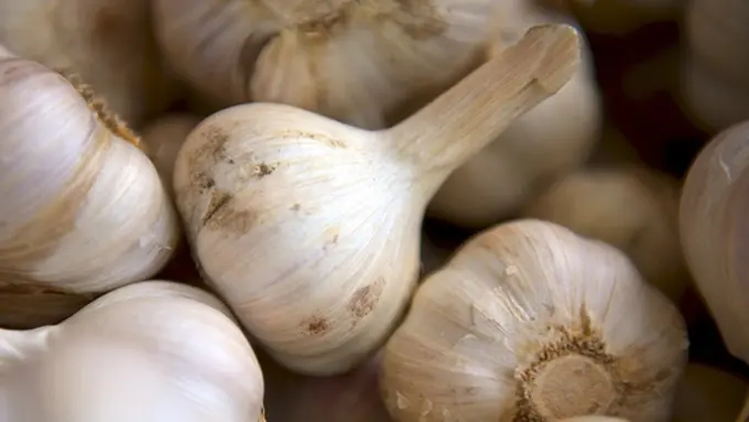 Foto: copyright pixabay.com