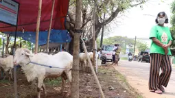 Warga melihat hewan kurban yang akan di jual di Tangerang, Selasa (21/7/2020). Jelang Idul Adha 1441 H penjualan hewan kurban mulai bermunculan dan mulai banyak pesanan. (Liputan6.com/Angga Yuniar)