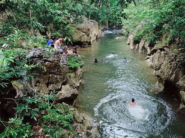 Proposal Pengelolaan Hutan Sebagai Tempat Wisata - Beberapa potensi