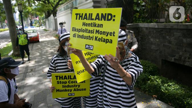 Aksi sejumlah orang yang tergabung dalam PETA di depan Kedutaan Besar (kedubes) Thailand di Jakarta, Selasa (8/12/2020). Mereka meminta dubes Thailand untuk Indonesia mengakhiri penggunaan tenaga kerja monyet di industri kelapa Thailand oleh perusahaan seperti Chaokoh. (Liputan6.com/Faizal Fanani)