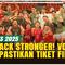 Remontada! Tim Voli Indoor Putra Indonesia Tunjukkan Mental Juara dan Amankan Tiket Final SEA Games 2025