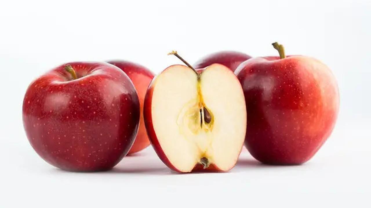 Jenis Makanan yang Dapat Menyehatkan Ginjal, Ada Buah hingga Protein Hewani