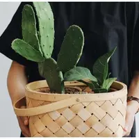 short desc