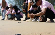 Mengenal Program Eko-Eduwista, Pelestarian Penyu dan Gerakkan Ekonomi Hingga Rp238 Juta per Tahun