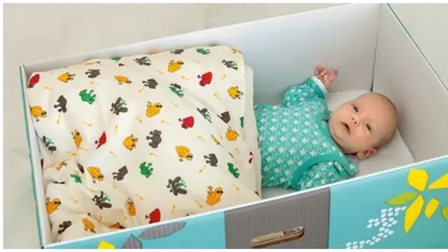 Foto : copyright oddee.com