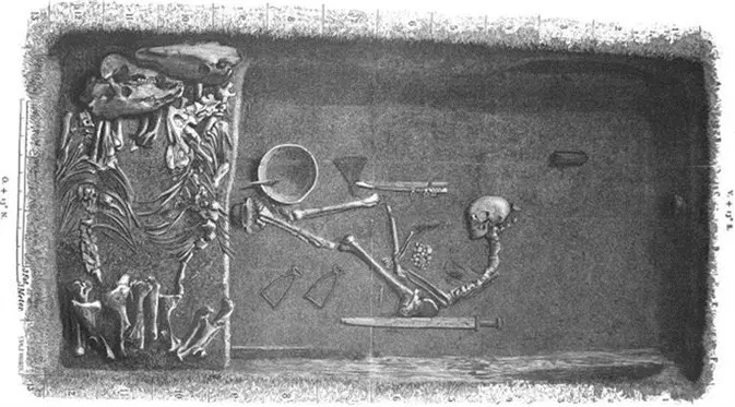 Analisis DNA prajurit Viking ini ternyata ia adalah seorang wanita. (Foto: Evald Hansen/American Journal of Physical Anthropology)
