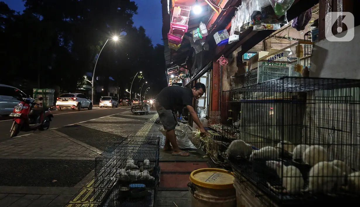 Aktivitas pedagang di Pasar Hewan Barito, Jakarta Selatan, Senin (8/3/2021). Pedagang di pasar yang menjual aneka hewan peliharaan itu mengalami penurunan omset selama pandemi corona, meski demikian mereka mengaku tetap bersyukur masih diizinkan berjualan. (Liputan6.com/JohanTallo)