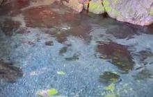 Melihat Kolam Air Jernih di Tengah Perdesaan Sumedang, Hampir Dibeli Perusahaan Asing Namun Ditolak Warga