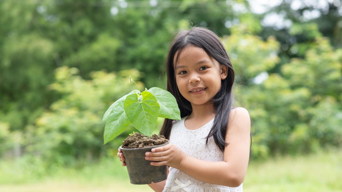 Cara Menumbuhkan Cinta Lingkungan pada Anak