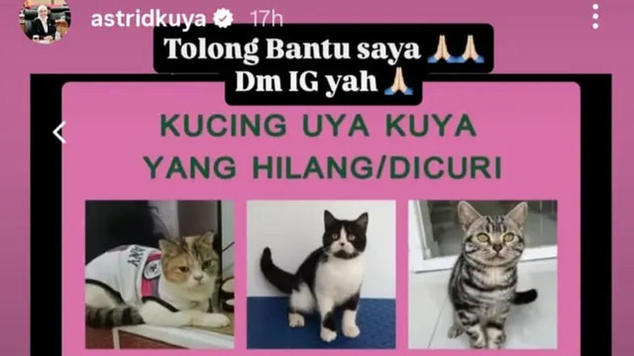 Kucing Uya Kuya Hilang Usai Penjarahan, Sherina Munaf: Jangan Ada yang Coba Jual!