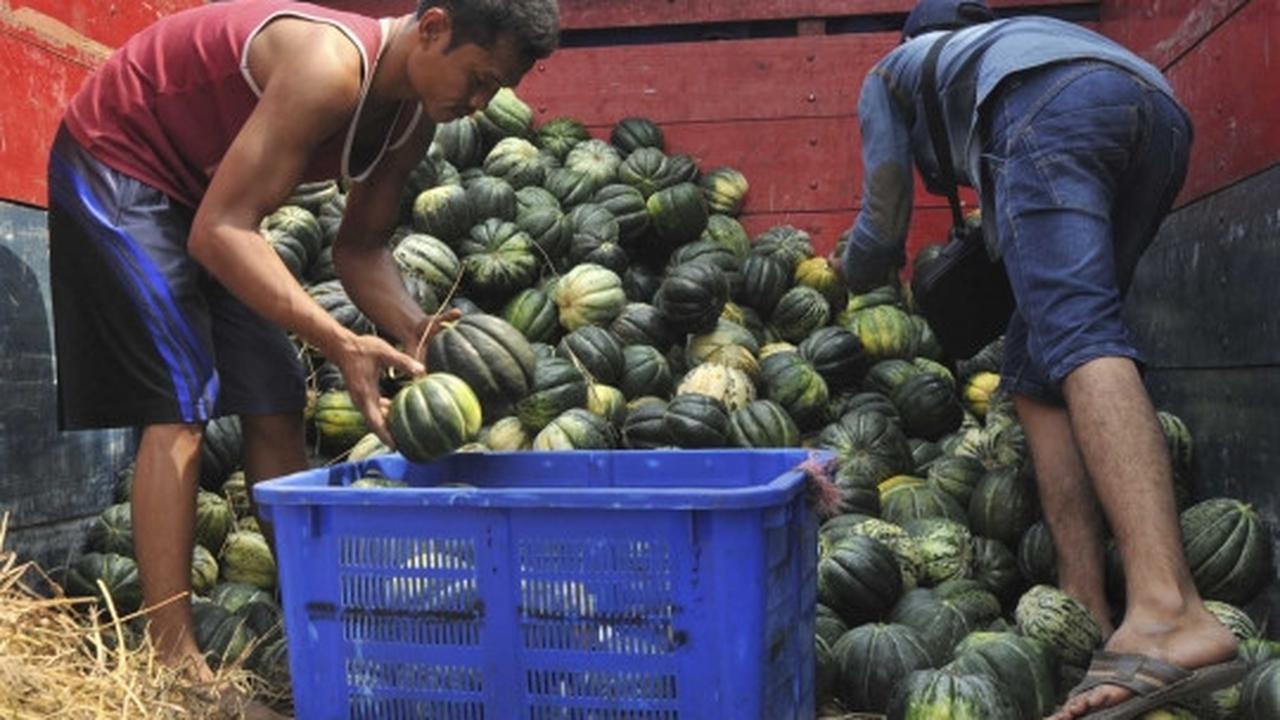 Omzet penjualan blewah di Tangerang menurun 40 persen