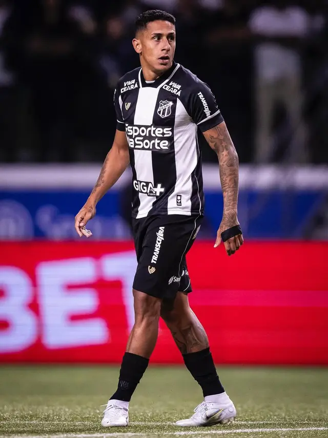 Bruno Tubarao