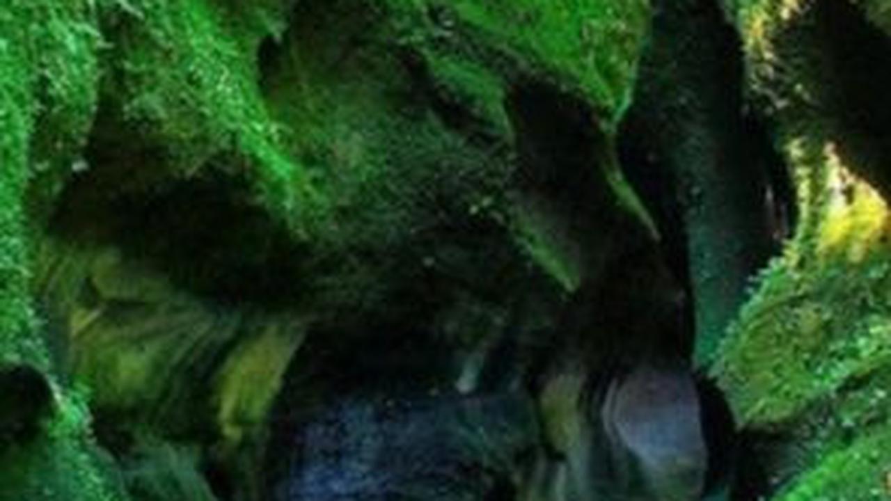 Wisata Pangandaran Populer, Cocok untuk Liburan Singkat