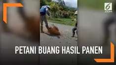 Para petani di Jambi membuang hasil panen mereka seperti kentang, cabai merah, sayur kol, dan bawang merah di jalanan. Ini menjadi aksi protes mereka kepada pemerintah.