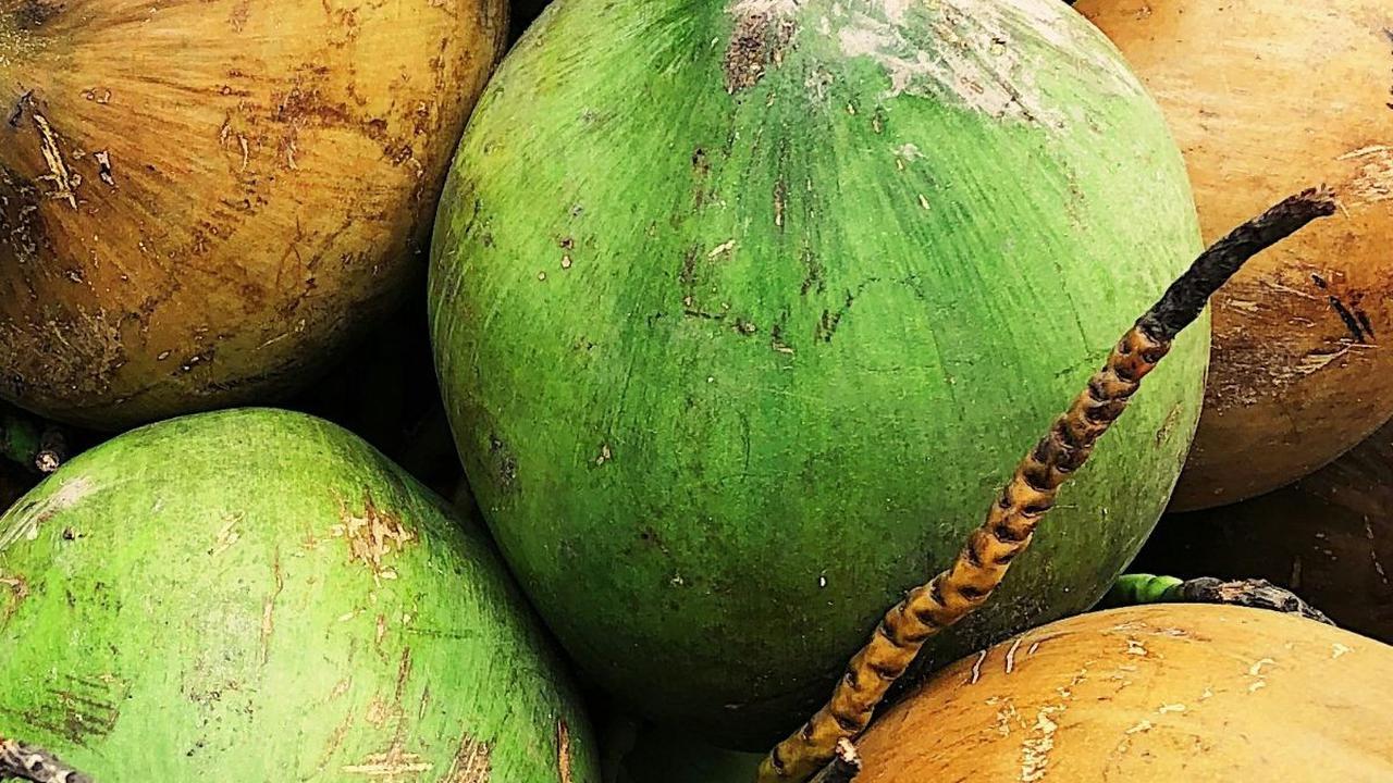 <b>Cara Memilih Kelapa yang Bagus</b>