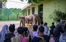 Korupsi Dana Satwa KBS, Sahroni Desak Audit Menyeluruh Kebun Binatang