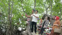 Komisi IV DPR RI meninjau hutan mangrove di Dusun Saluleang, Mamuju, Sulawesi Barat