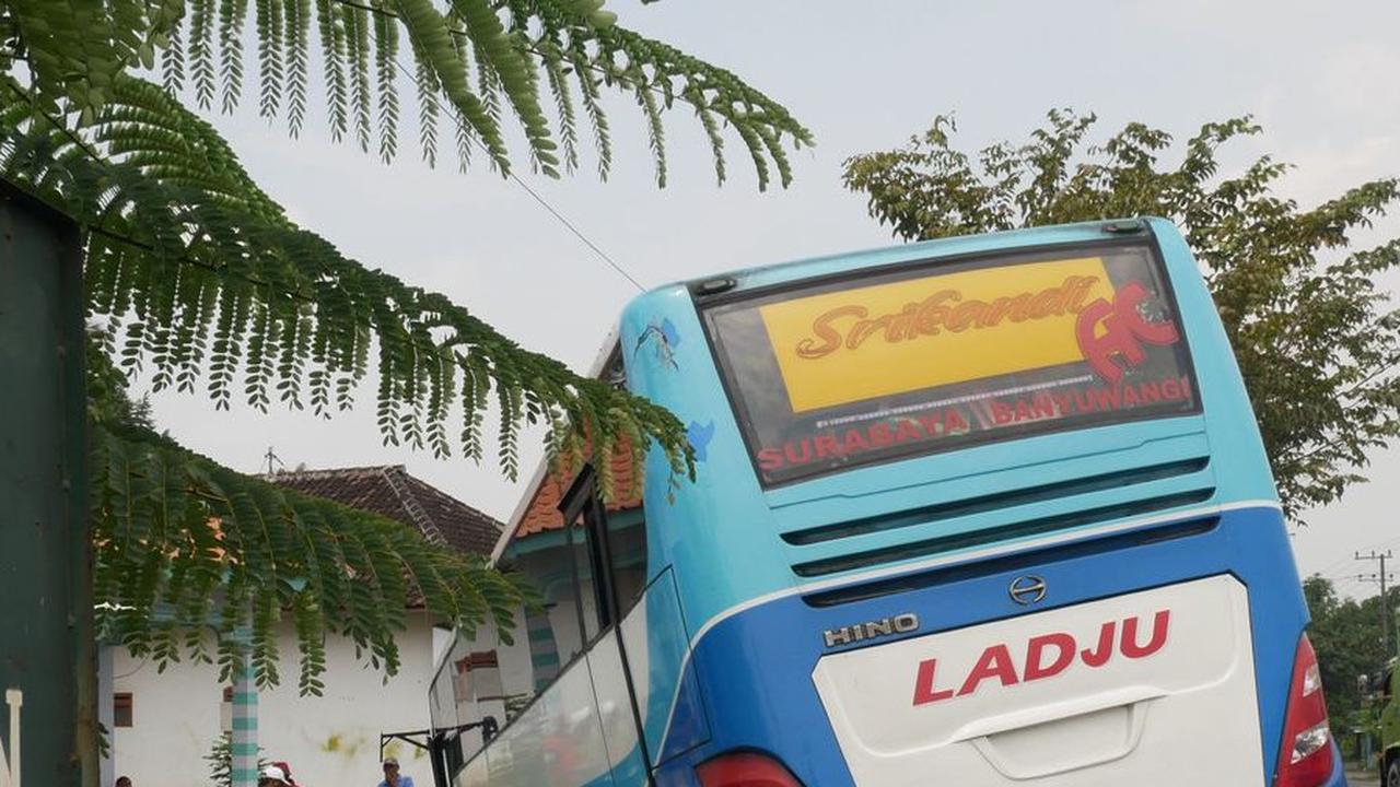 Bus Oleng Hantam Pohon dan Tersungkur di Halaman Rumah Warga