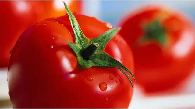 Courtesy ShutterStock.com