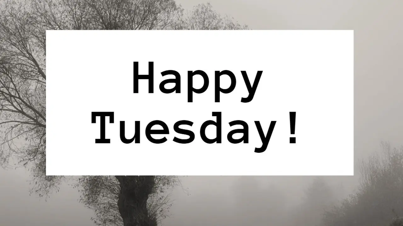 ilustrasi tuesday