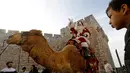 Warga melihat seorang pria mengenakan busana seperti Santa Claus mengendarai unta menyambut perayaan Natal di sepanjang tembok Ottoman Kota Tua Yerusalem (21/12). (AFP Photo/Gali Tibbon)