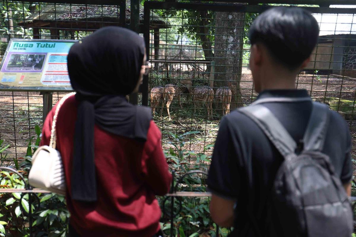 FOTO: Peringatan Maulid Nabi, Ragunan Diserbu Pengunjung