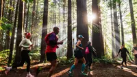 Selandia Baru Serius Garap Wisata Olahraga untuk Tarik Wisatawan Mancanegara, dari Lari hingga Treking di Alam Terbuka